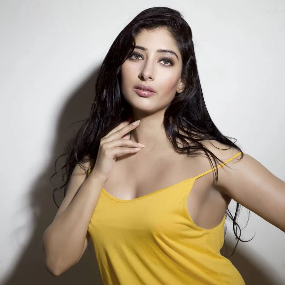 niharica raizada